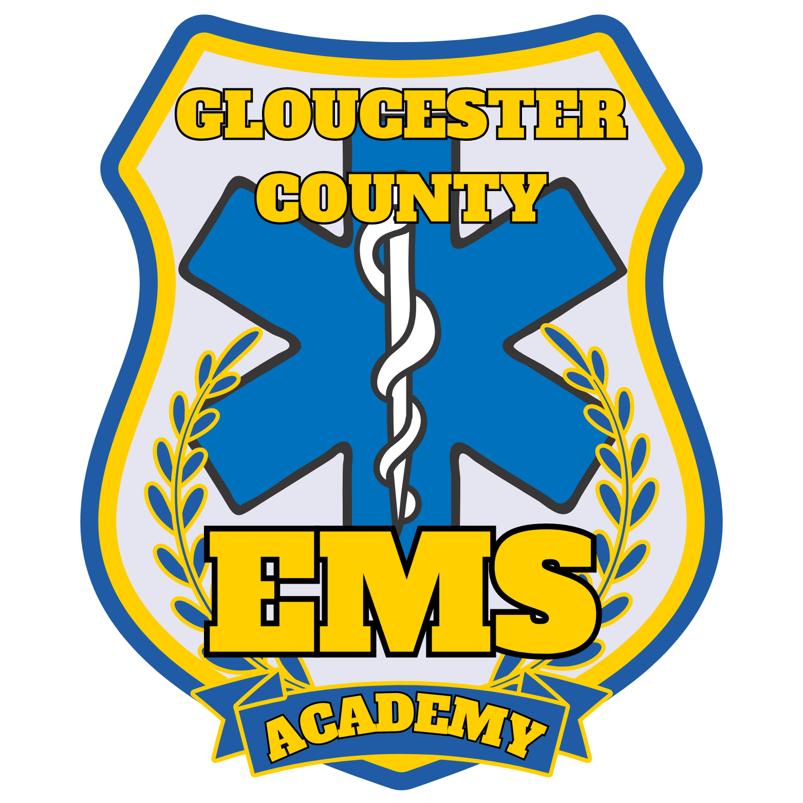 EMS Academy